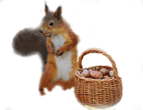 őszi állatok_3.png